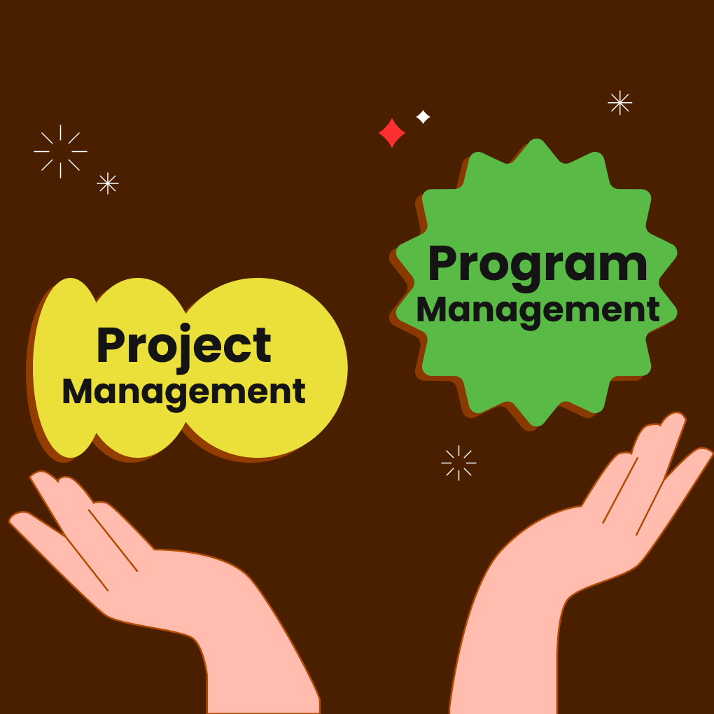 project management vs program management