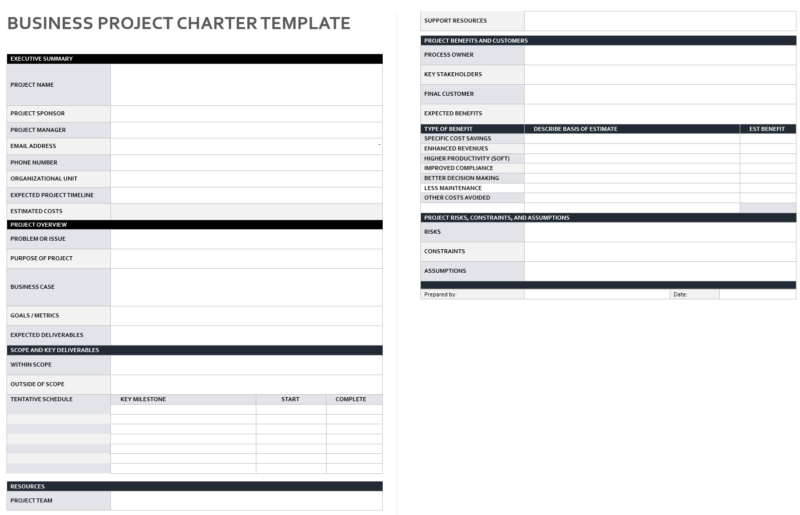 business project charter template