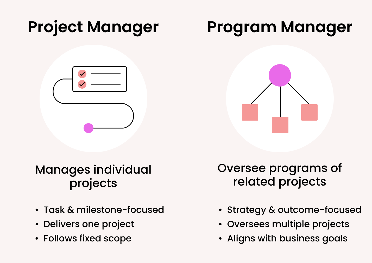 project manager vs program manager