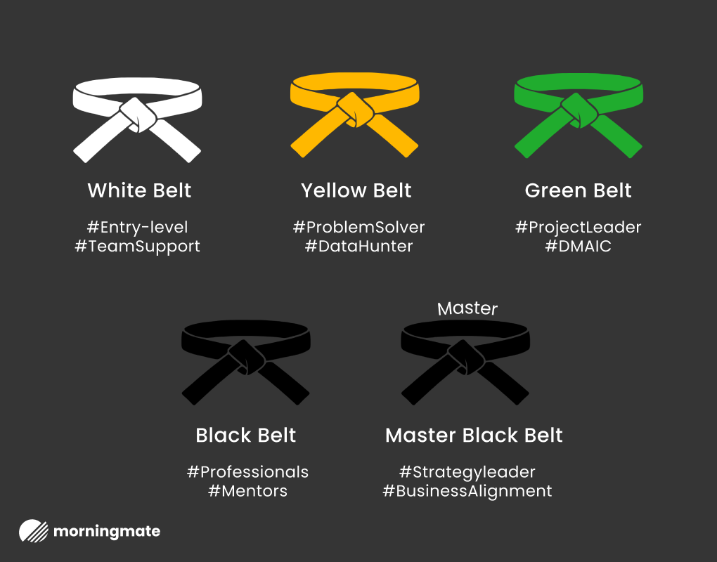 Lean Six Sigma Belt Levels