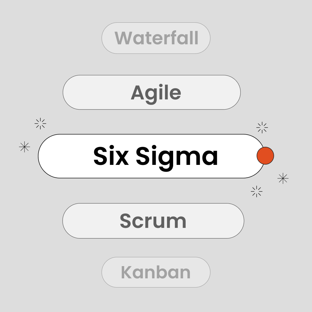 Six Sigma Project Management Guide
