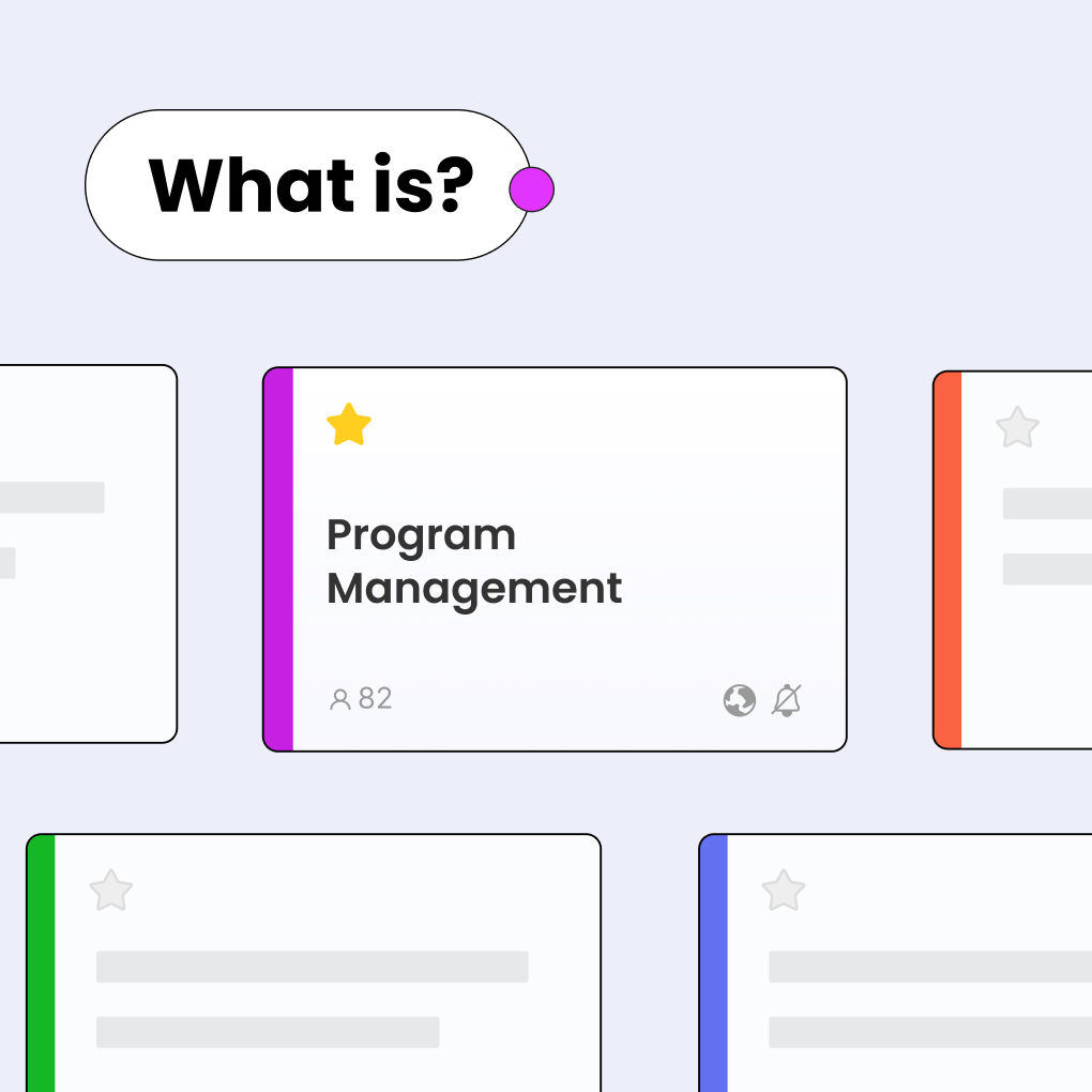 what is program management